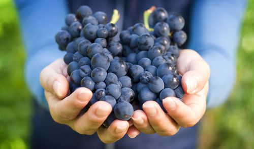 ABC Announces On-Sale Liquor Licenses for Napa County